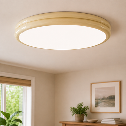 Modern LED Ceiling Light