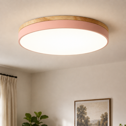 Round Disc Flush Mount Ceiling Light