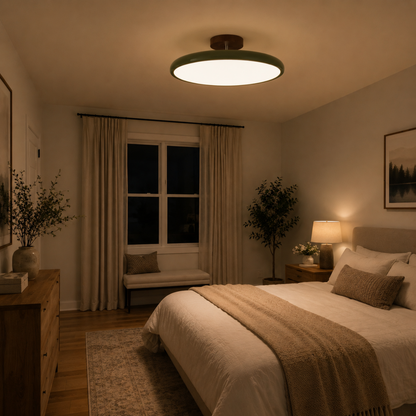 Round Retro LED Vintage Ceiling Light