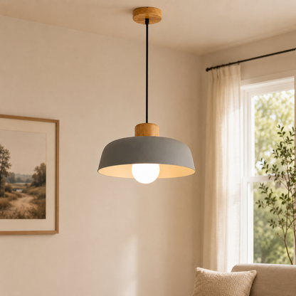 Creative Modern Iron Pendant Light