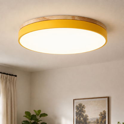 Round Disc Flush Mount Ceiling Light