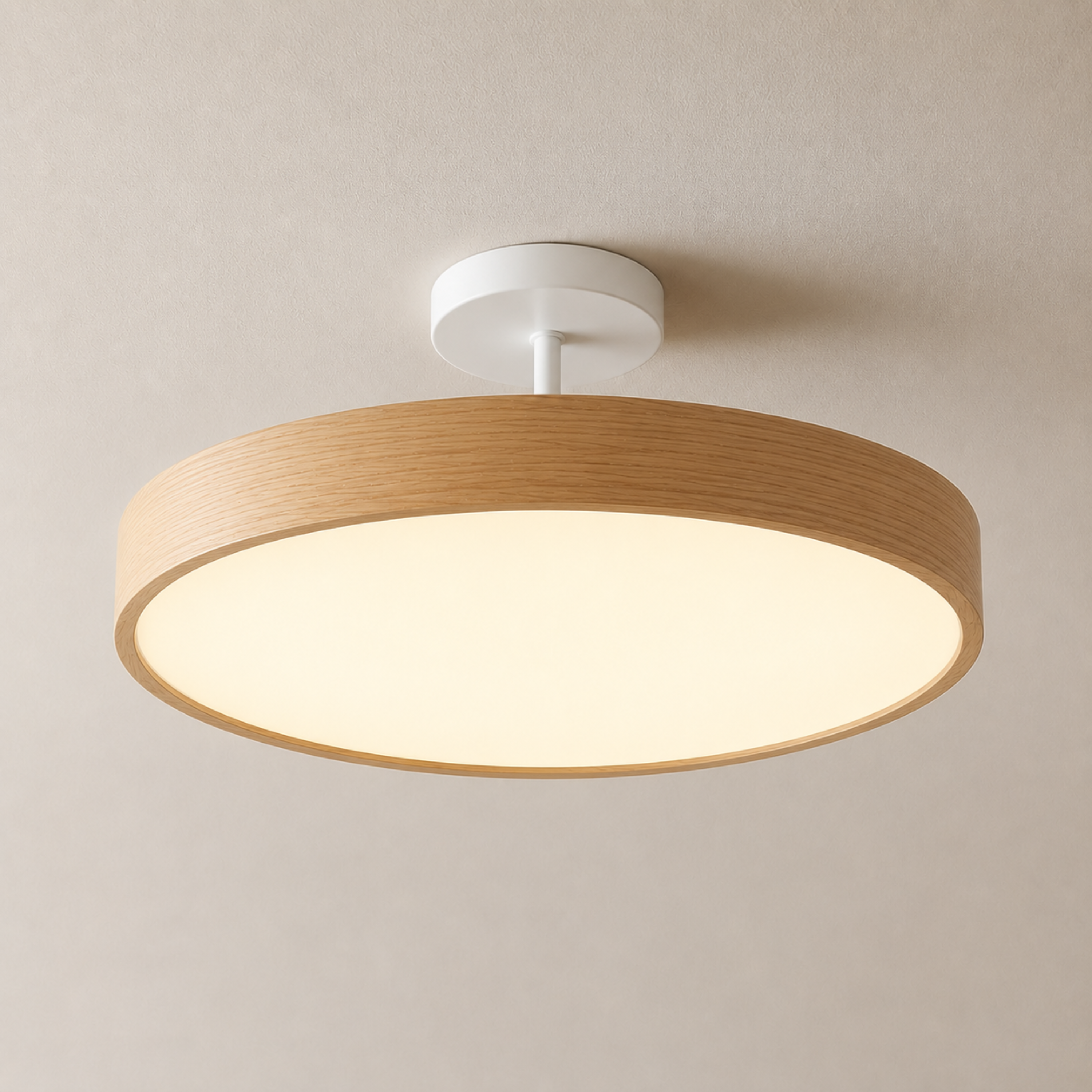 Scandinavian LED Ceiling Light