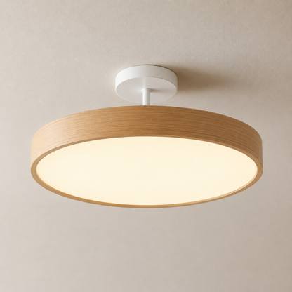 Scandinavian LED Ceiling Light