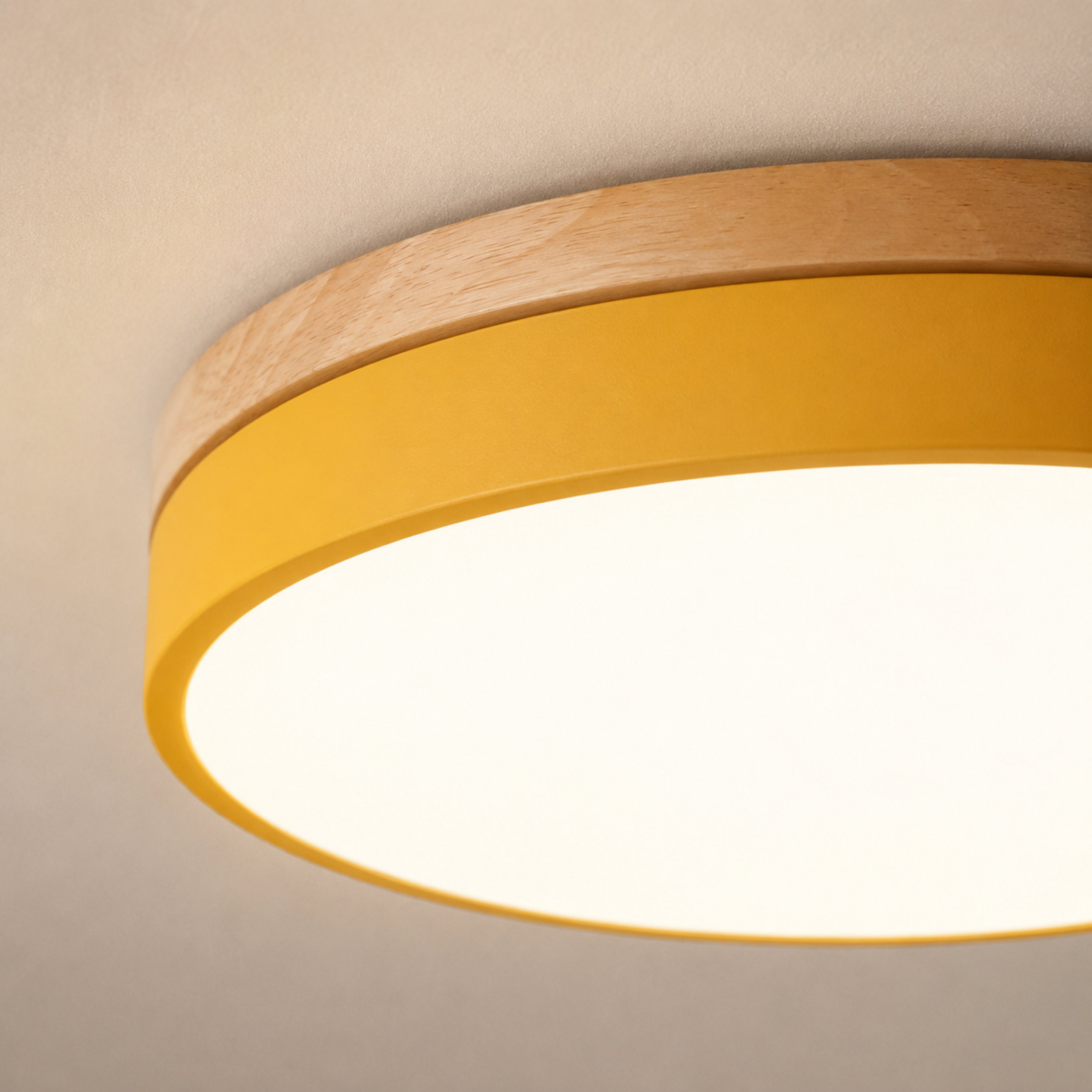 Round Disc Flush Mount Ceiling Light
