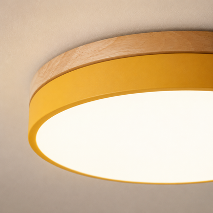 Round Disc Flush Mount Ceiling Light