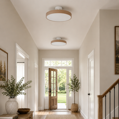 Scandinavian LED Ceiling Light