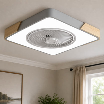 Quiet Ceiling Fan with LED Light
