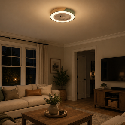Quiet Ceiling Fan with LED Light