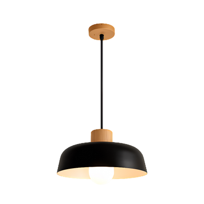 Creative Modern Iron Pendant Light