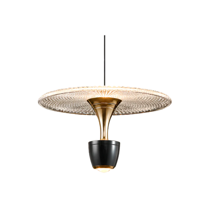 Acrylic LED Pendant Light