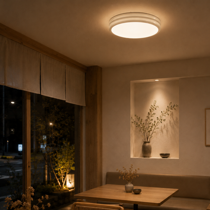 Modern LED Ceiling Light