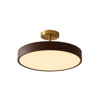 Scandinavian LED Ceiling Light