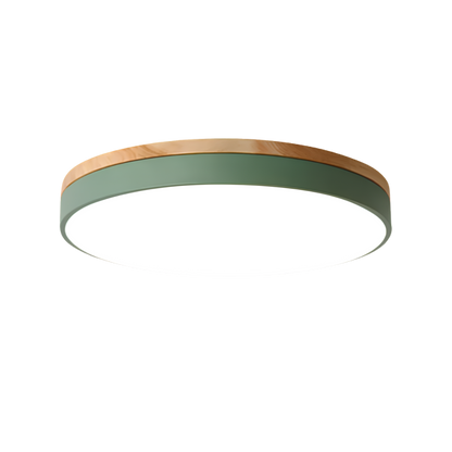 Round Disc Flush Mount Ceiling Light
